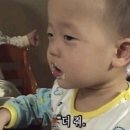 명지샤브손칼국수 이미지