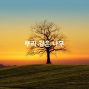 뿌리깊은 나무 이미지