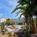 다남의원 이미지