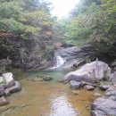 백상약국 이미지