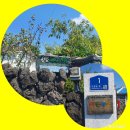 그루터기배움터 이미지