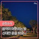 신대천 네이버블로그