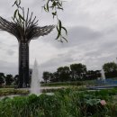 뿌리광장 이미지