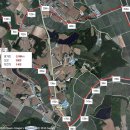 솔향기어린이집 이미지