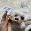 삼형제 펫푸드 이미지
