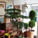 기차네즉석떡볶이 이미지