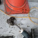 정선세차장 이미지