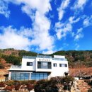 실안길314 이미지