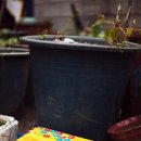 용산-246 이미지