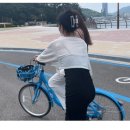 노랑고래 이미지