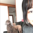 전주가축약품 이미지