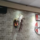 세비체210