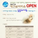 사람과 애견 이미지