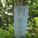 직동교 이미지