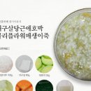 매생이 계란말이 만드는법 부드러움의 긑판왕 아이반찬 도시락반찬 이미지