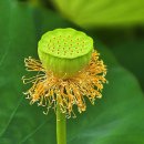 세종공원 이미지