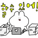 로앤로우 - 영주시 대학로 178-1 | 로앤로우