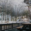 강남콩바디헬스클럽 이미지