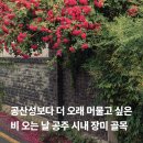 정겨운오뎅집공주점 | 공산성보다 더 오래 머물고 싶었던 곳｜비 오는 날 걸었던 공주 구시가지 장미 골목