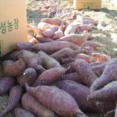 부자농장2 이미지