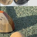 인터넷뉴월드 이미지