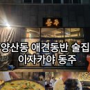 우동점기아오토큐주식회사 | [광주 북구] 양산동 애견동반 술집 이자카야 동주, 완벽한 펫프렌들리 식당!