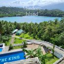 더킹(THE KING) | 필리핀 민도로(Mindoro)섬 사방비치 더킹다이브리조트(The King Dive Resort) 스쿠버다이빙 후기 1탄