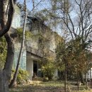 북스테이 노란 | 파주 ㅣ 북스테이 모티프원 '블루룸' 내돈내산 후기