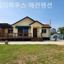 베일리하우스애견펜션 이미지