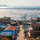 무창포어촌체험휴양마을 | 🐚✨ 충남 보령 무창포 어촌체험 휴양마을 여행