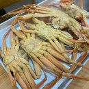서민회식당