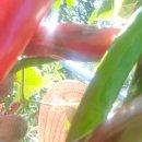 나금이네 이미지