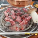 밴딩스토아 이미지