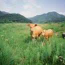 신옥산농장 이미지