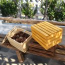 감성나무협동조합 이미지