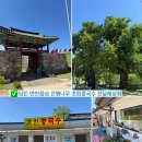 당진 면천읍성 면천은행나무 초원콩국수 진달래상회
