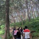 치유의 숲 이미지