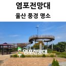 염포전망대 울산 북구 스카이워크 태화강 풍경과 일몰 명소