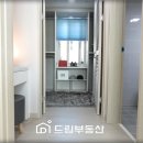 삼웅 이미지