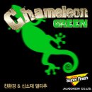 카멜레온 이미지