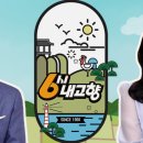 6시내고향 | 6시 내고향 홈페이지 누리집 ➡️