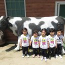 동신초교 병설유치원 이미지