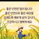 여름 산행 안전한 등산법 이미지