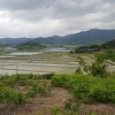 신지마을회관 이미지