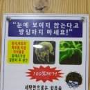 신정1지구대 이미지