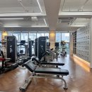 땀샘휘트니스 | [당산 헬스장] 레드핏 휘트니스 운동 첫날 후기