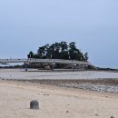 무창포해수욕장 이미지