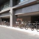 비산화성파크드림 이미지