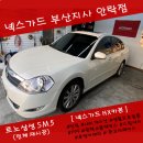 넥스가드부산지사