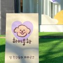 하이뭉하 이미지